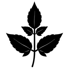 flat vector illustration holy basil icon isolated .svg