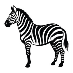 Fototapeta premium zebra animal silhouette vector isolated on a white background 