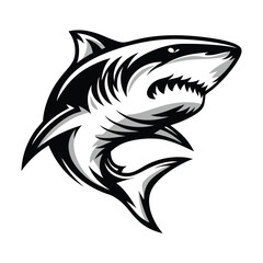 Striking Black and White Shark with Open Mouth and Sharp Teeth on White