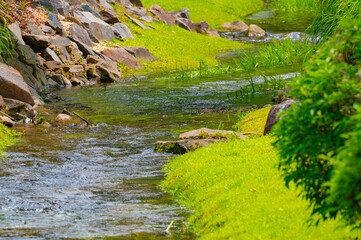A landscaped stream with crystal clear water with rocks and grass on the banks in Andrews, North Carolina