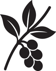 Silhouette vector of a coffee plant branch with leaves and beans. Ideal for organic, farm, or café designs.