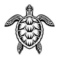 Fototapeta premium Detailed Sea Turtle Illustration, Intricate Shell Pattern, Black and White Animal Design