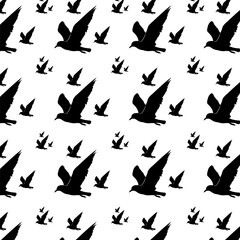 Vector black and white silhouette pattern of flying birds