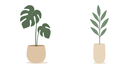 House plants in pots. Element for design house, room or office. Isolated element on white background.