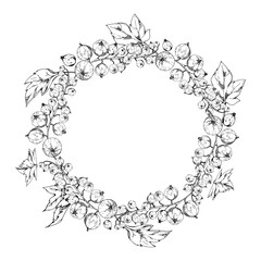 Currant gooseberry cluster bunch on stem with leaves, ripe garden berry casseille juneberry jostaberry, vector ink hand drawn. Isolated wreath frame crown. Home preserves cookbook, grocery food store