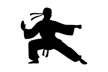 Silhouette of martial arts master in fighting stance