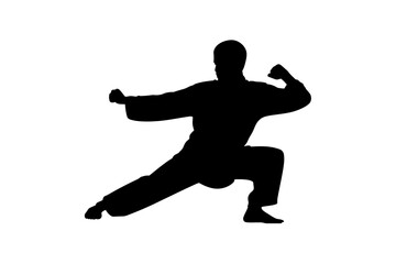 Silhouette of martial arts master in action pose