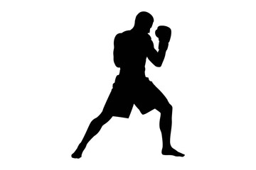Boxing silhouette fighter stance training combat