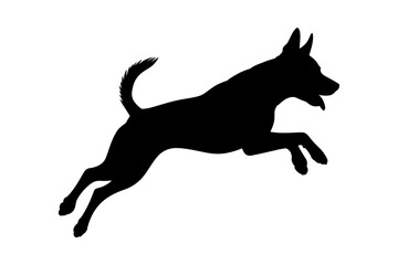Dog silhouette jumping agility pet animal canine