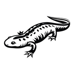 Naklejka premium Isolated Black and White Spotted Salamander With Bold Outline Design