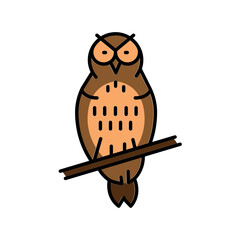 northern spotted owl color flat icon for digital and print projects. North american animals.