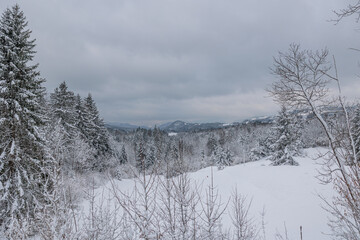 vista panoramica su un ambiente tra collina e montagna, con vaste foreste innevate, sotto un cielo completamente nuvoloso, di giorno, in inverno, nella Slovenia centrale