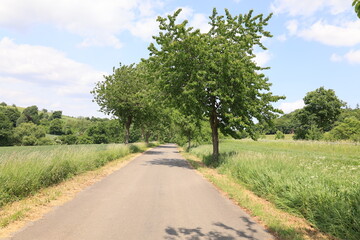 Naturlandschaft bei Rüthen im Sauerland