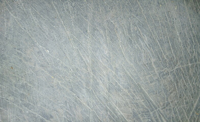 wooden texture background surface of a cut tree stump	