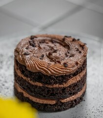 chocolate cake 