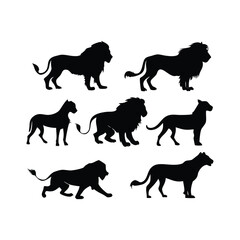 Lion Silhouette Vector Collection Vector design white Background. 