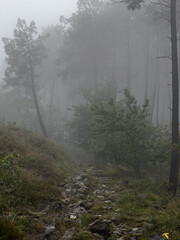 serra da labruja, mountain path of the witch, foggy woods and eerie atmosphere along the pilgrimage on the road to Santiago in Portuga
