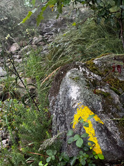 serra da labruja, mountain path of the witch, yellow arrow pointing in to the direction with rocky terrain  along the pilgrimage on the road to Santiago in Portugal
