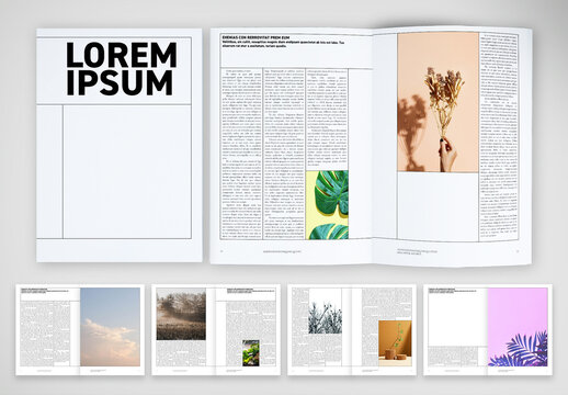 Modular Grid Magazine Layout