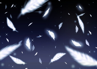 白い羽根が舞う背景イラスト © 恭子 若山