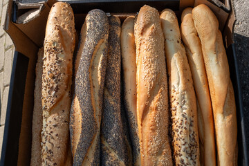 A variety of freshly baked baguettes, featuring plain, sesame, sunflower seed, and poppy seed options, artfully arranged in a box, highlighting a rich display of textures and flavors