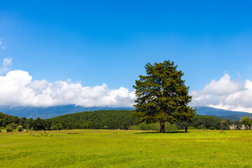 Kocayayla Plateau in Keles District. Bursa, Turkey. Beautiful Plateau of Bursa City.