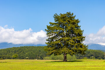 Kocayayla Plateau in Keles District. Bursa, Turkey. Beautiful Plateau of Bursa City.