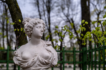 Marble busts in the summer garden in the park of St. Petersburg.