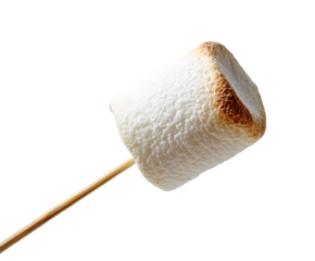 Toasted marshmallow on stick ready for campfire fun