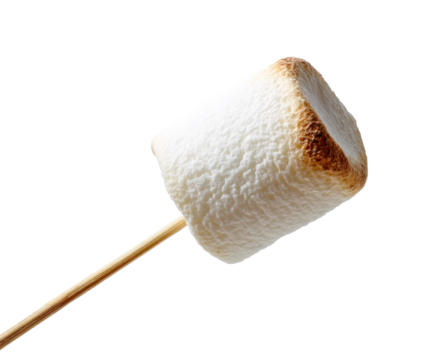 Toasted marshmallow on stick ready for campfire fun