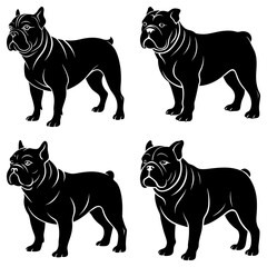 Four black and white vector illustrations of bulldog dogs standing in different positions on a white background
