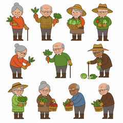 Senior farmers harvesting vegetable crops in garden