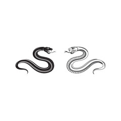 Adobe Illustrator Artwork Vector elongated snake silhouette illustration. Black serpent tattoo design isolated on white background