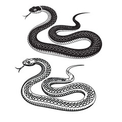 Obraz premium Adobe Illustrator Artwork Vector elongated snake silhouette illustration. Black serpent tattoo design isolated on white background
