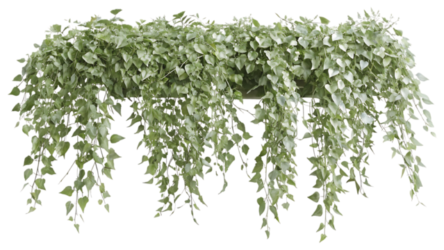3D Model of Hanging Foliage with Green Leaves