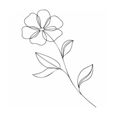Elegant simple outline drawing of a blooming flower with leaves on white background