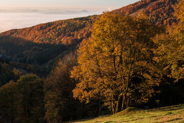 Morning mood over a foggy autumn landcape in the mountains