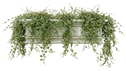 3D Potted Hanging Plant Adds Life to Any Space