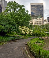 Spring in Central Park, New York City, early morning