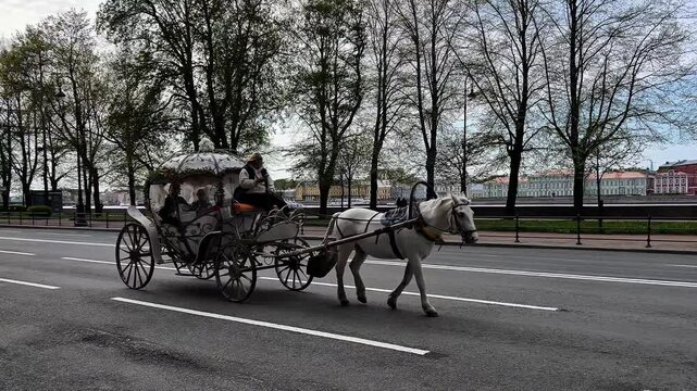 a horse and carriage are riding along the road
