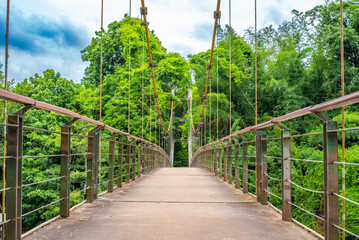 bridge in the forest
