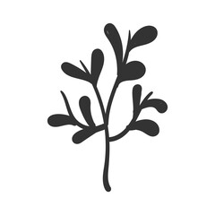 png vintage botanical drawing of seasonal floral twig leaf hand-drawn decoration christmas tree romantic art nature rustic wedding set illustration

