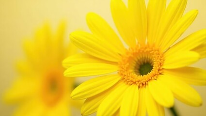 Naklejka premium Close-up view of a vibrant yellow flower.