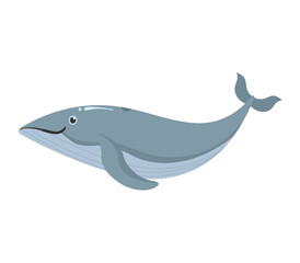 png colorful undersea illustration with aquatic fauna turtle seahorse cute marine background shell whale ocean flat children design card set

