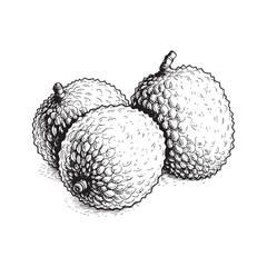 Lychee fruit Doodle Illustration – Hand-Drawn Black and White Line Art on Transparent Background