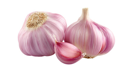 Fresh and healthy garlic bulbs and clove on a plain black background for culinary projects