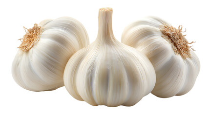 Fresh and healthy garlic bulbs isolated on a black background for culinary purposes