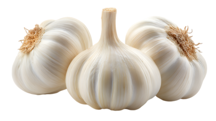 Fresh and healthy garlic bulbs isolated on a black background for culinary purposes