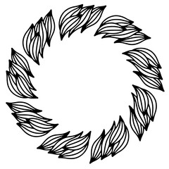 black and white wings