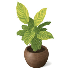 Pothos in Round Wooden Pot (Epipremnum aureum) A lush pothos with long, trailing green and yellow variegated leaves, growing in